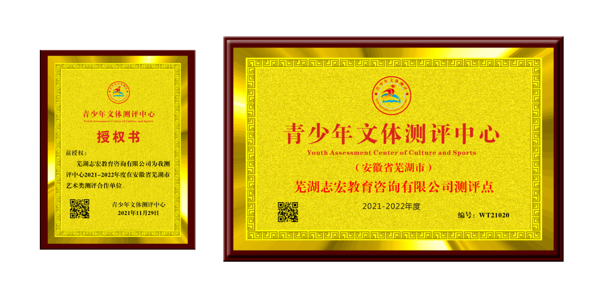 芜湖志宏.png